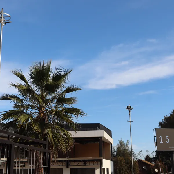 Palmera y pantalla LED mostrando la hora bajo cielo azul despejado